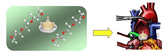 bioprotez