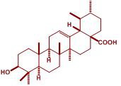 ursol_2